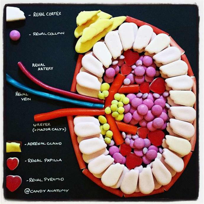 Şekerle İnsan Anatomisi Birleşince Ortaya Çıkan Güzel Görüntüler 