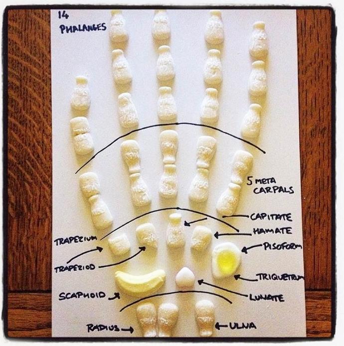 Şekerle İnsan Anatomisi Birleşince Ortaya Çıkan Güzel Görüntüler 