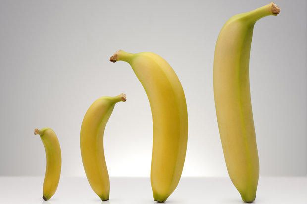 Büyük Boy Penis Efsanesinin Abartısı