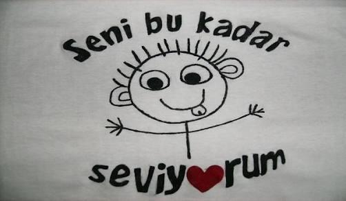 Bir insanı sevmek akıl işi değil. Sevmeyin! 