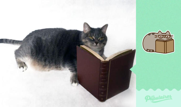 Facebook'taki Pusheen the Cat Emojisine Can Veren Sevimli Kedicikten 13 Minnoş Poz