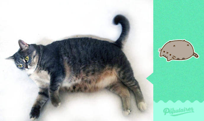 Facebook'taki Pusheen the Cat Emojisine Can Veren Sevimli Kedicikten 13 Minnoş Poz