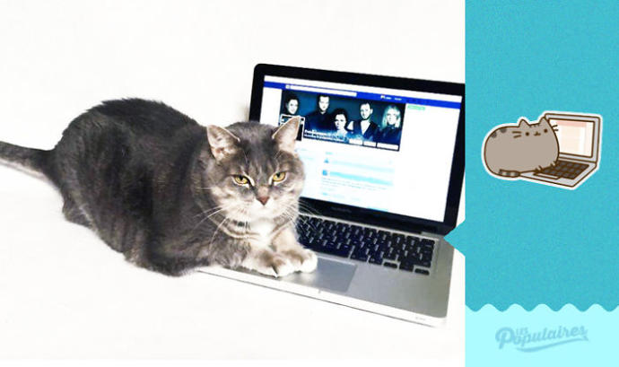 Facebook'taki Pusheen the Cat Emojisine Can Veren Sevimli Kedicikten 13 Minnoş Poz