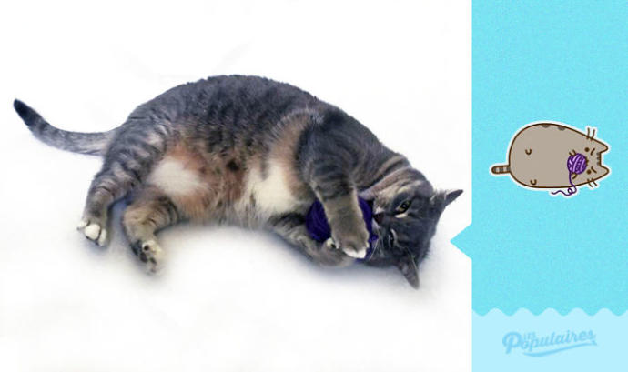 Facebook'taki Pusheen the Cat Emojisine Can Veren Sevimli Kedicikten 13 Minnoş Poz