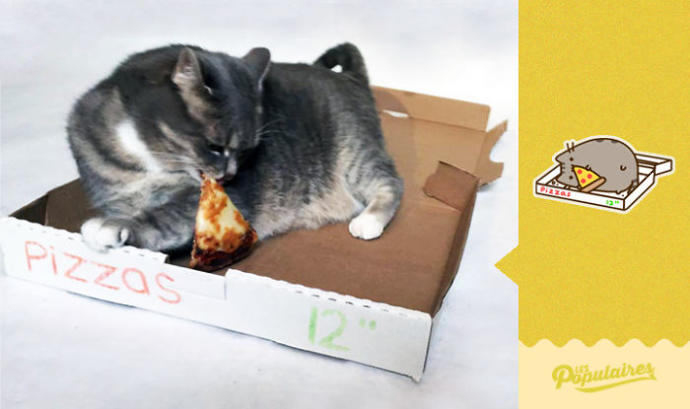 Facebook'taki Pusheen the Cat Emojisine Can Veren Sevimli Kedicikten 13 Minnoş Poz