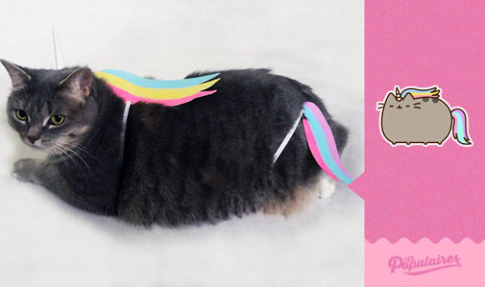 Facebook'taki Pusheen the Cat Emojisine Can Veren Sevimli Kedicikten 13 Minnoş Poz