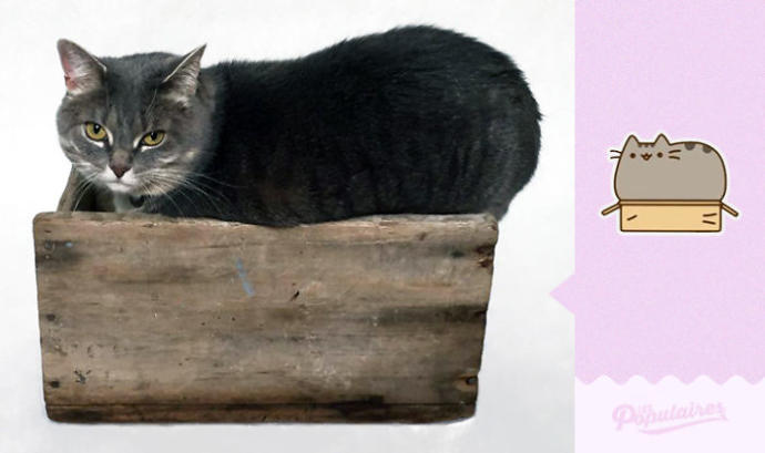 Facebook'taki Pusheen the Cat Emojisine Can Veren Sevimli Kedicikten 13 Minnoş Poz
