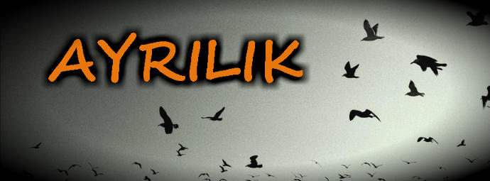 Ayrılık Feryadı...