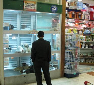 Evcil Hayvan Satın Almayın