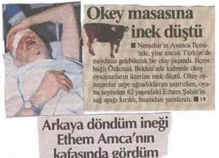 Ülkemizde Yaşanan En Komik 5 Popüler Haber