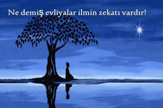 3. Göz Aktivasyonu: Sezgiler ve Duyu Dışı Algılamayı Arttırmak İçin Tüyolar!