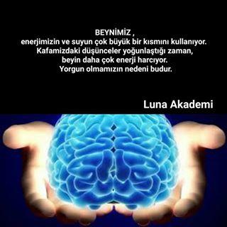 Vücudumuzun Suya İhtiyacı Olmasının Nedenleri