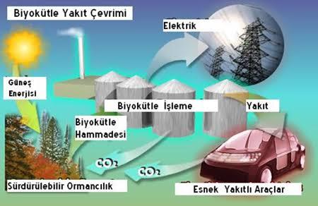Haydi Yenilenebilir Enerji Kaynaklarını Öğrenelim
