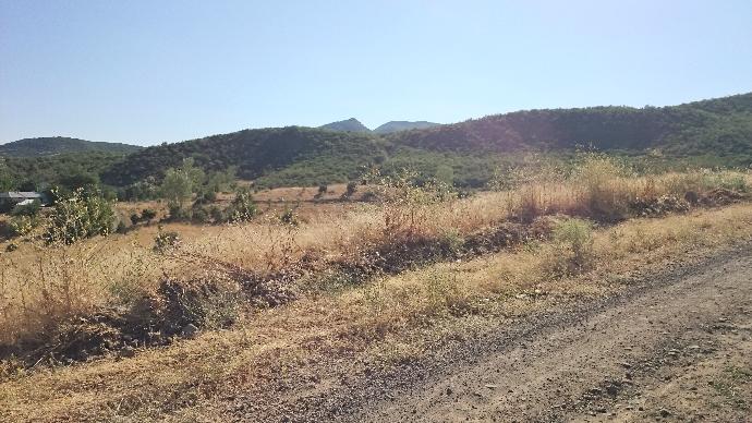 Fotoğraflarınızı Efektlerle Güzelleştirin!