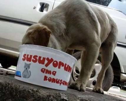 "Susuyorum" Ama Konuşamıyorum