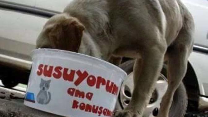 "Susuyorum" Ama Konuşamıyorum