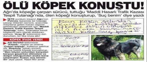 Sadece Canım Türkiye'mde Olacak Olaylar