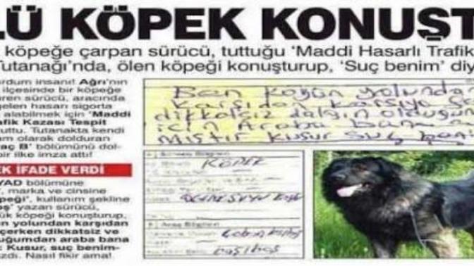 Sadece Canım Türkiye'mde Olacak Olaylar