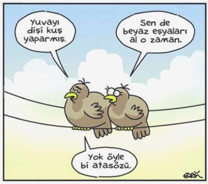 Karikatürlerle Evlilik Sanatı