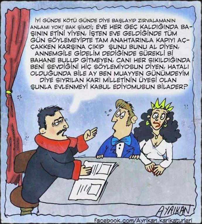 Karikatürlerle Evlilik Sanatı
