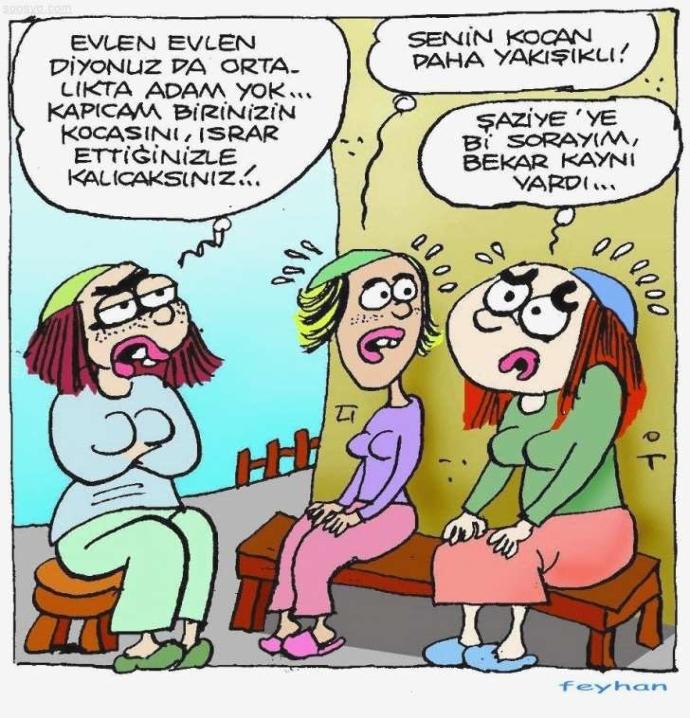 Karikatürlerle Evlilik Sanatı
