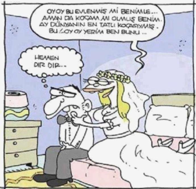 Karikatürlerle Evlilik Sanatı