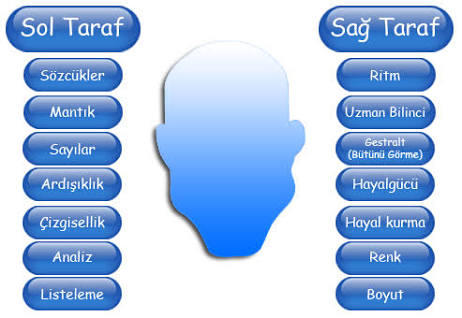 Hiç Okuyan İle Okumayan Bir Olur mu?