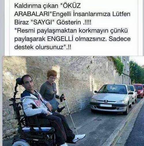 Güzel Adam Serkan Türk ve Diğer Yitirdiğimiz Değerli Canlar Anısına