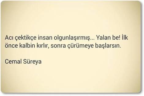 Mutluluk Bile Acı Veriyor Çünkü Sonu Var; Biliyorum
