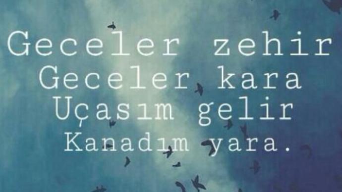 Mutluluk Bile Acı Veriyor Çünkü Sonu Var; Biliyorum