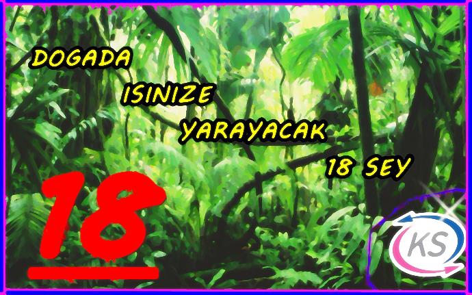 Doğada Kamp Yaparken Yanınızda Bulundurmanız Gereken 18 Şey