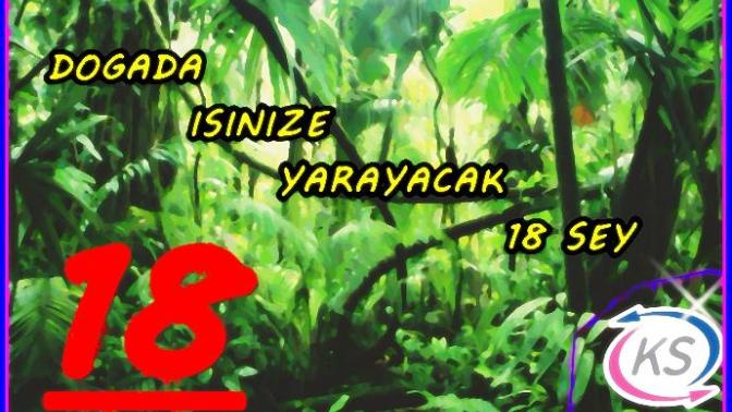 Doğada Kamp Yaparken Yanınızda Bulundurmanız Gereken 18 Şey