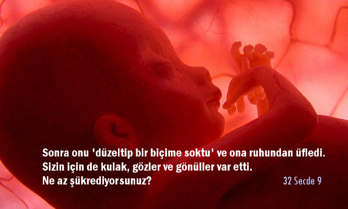 Şah Damarından Yakın Allah'ı Halen Göremiyor musun?