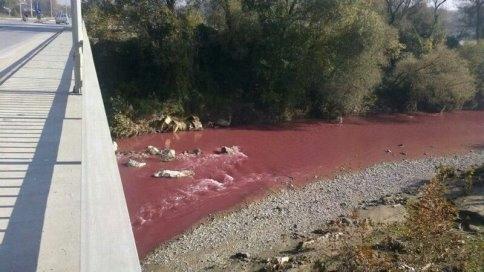 Duyarsızlığa Duyarsızlık Paradoksu