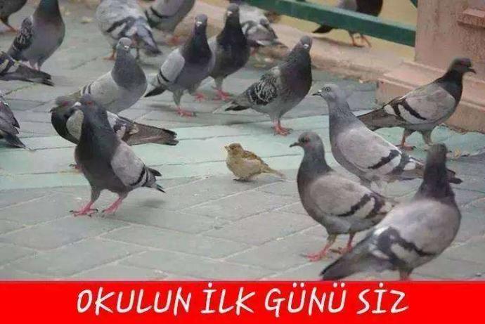 Üniversitenin İlk Günü LYS Stresini Bile Katlayabilir-Buyrun Size Püf Noktalar :)