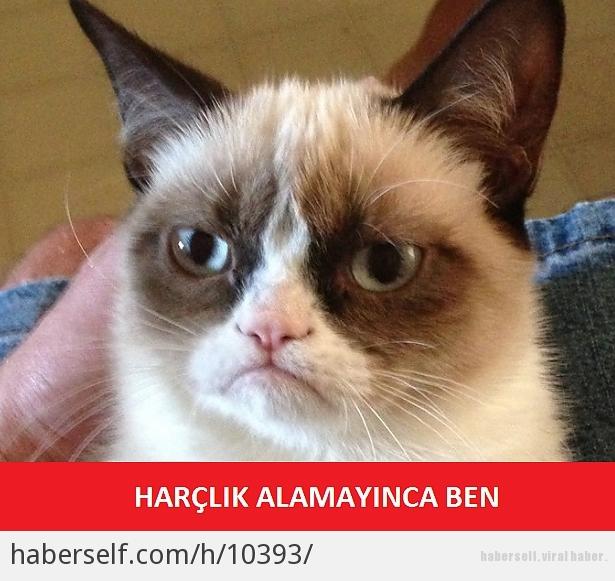 Her Bayram Sergilediğimiz, Olmazsa Olmaz Milli Davranışlarımız!
