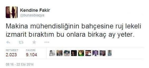 Bir Mühendisin Günlüğü