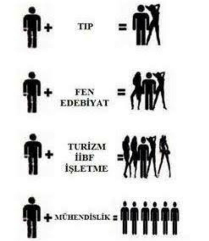 Bir Mühendisin Günlüğü