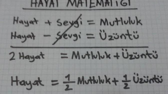 Aşk mıdır deliyi deli eden?