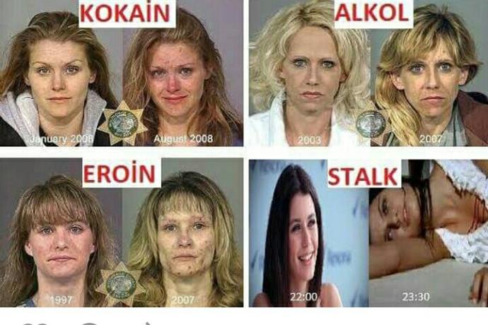 Stalk Günlükleri 