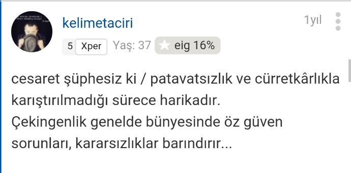 "Erkekler Cesur Kızları Sever" İddiasının Erkeklerden 10 Görüş ile İspatı!