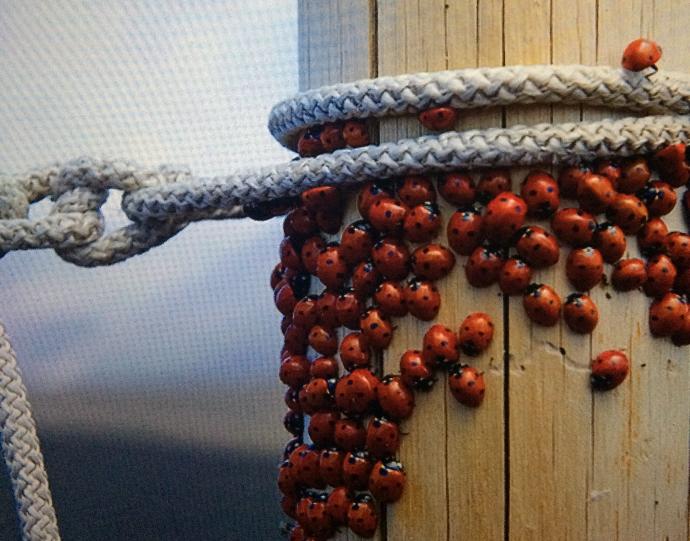 İzi Düşüm'de Saklı Çocukluğumun