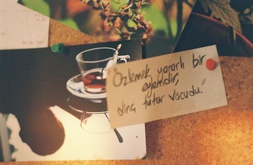 Aşk Gerçekten Güzel Bir Şey