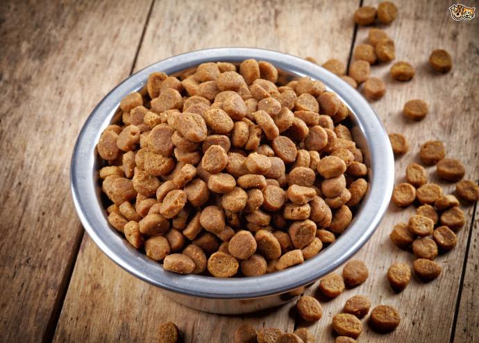 Kedi Mamalarını Muhafaza Etme Yöntemi