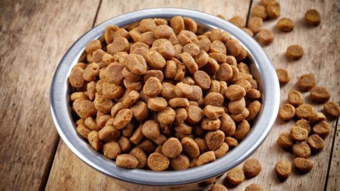 Kedi Mamalarını Muhafaza Etme Yöntemi