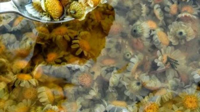 Papatya Suyuyla Saç Rengimizi Açıyoruz! Nasıl mı?