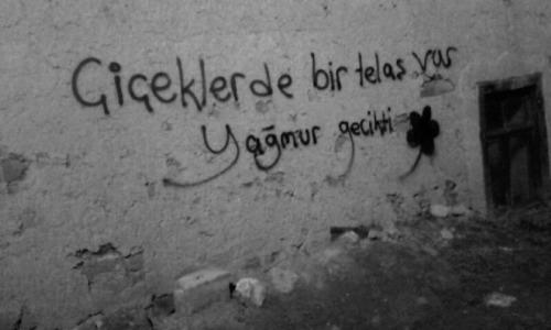 En İyi '' Duvar '' Yazıları