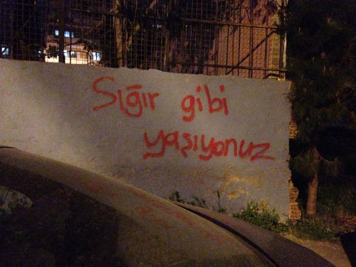 En İyi '' Duvar '' Yazıları