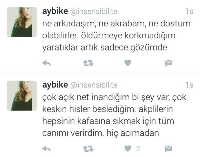 Darbe Girişimi "İNCE" Gerçekleri