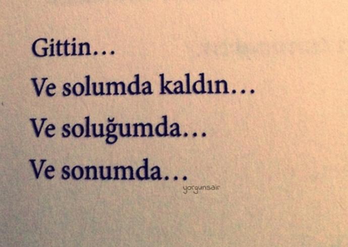 Resimlerle Aşk Döngüsü 💘